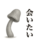 キノコのカタチ（個別スタンプ：11）