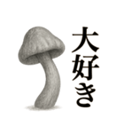 キノコのカタチ（個別スタンプ：27）