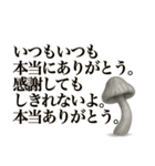 キノコのカタチ（個別スタンプ：38）