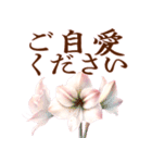 とびだす！大きく見やすい敬語 5月の花たち（個別スタンプ：12）
