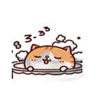 お風呂猫 神様お願いします,（個別スタンプ：3）