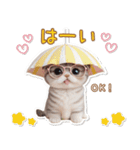 可愛い猫 シール風パステル 状況＆思いやり（個別スタンプ：13）