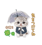 可愛い猫 シール風パステル 状況＆思いやり（個別スタンプ：24）