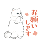 長毛にゃん（個別スタンプ：5）