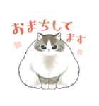 長毛にゃん（個別スタンプ：6）