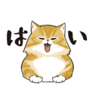 長毛にゃん（個別スタンプ：7）