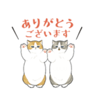 長毛にゃん（個別スタンプ：11）