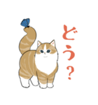 長毛にゃん（個別スタンプ：13）