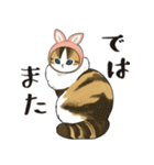 長毛にゃん（個別スタンプ：14）