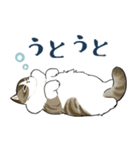 長毛にゃん（個別スタンプ：15）