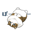 長毛にゃん（個別スタンプ：17）