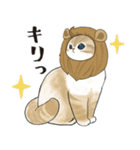 長毛にゃん（個別スタンプ：22）