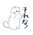長毛にゃん（個別スタンプ：25）