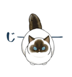 長毛にゃん（個別スタンプ：26）