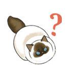 長毛にゃん（個別スタンプ：27）