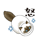 長毛にゃん（個別スタンプ：28）