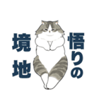 長毛にゃん（個別スタンプ：31）