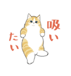 長毛にゃん（個別スタンプ：33）