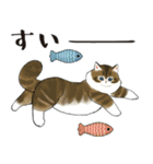 長毛にゃん（個別スタンプ：34）
