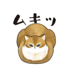 長毛にゃん（個別スタンプ：35）
