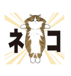 長毛にゃん（個別スタンプ：37）