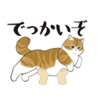 長毛にゃん（個別スタンプ：39）