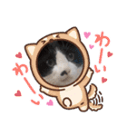 ボア×しゃんの日常（個別スタンプ：39）