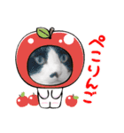 ボア×しゃんの日常（個別スタンプ：40）