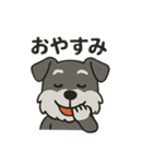 渋かわシュナウザー爺さん！今日も絶好調！（個別スタンプ：2）
