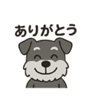 渋かわシュナウザー爺さん！今日も絶好調！（個別スタンプ：3）
