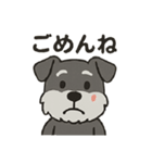 渋かわシュナウザー爺さん！今日も絶好調！（個別スタンプ：4）