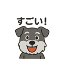 渋かわシュナウザー爺さん！今日も絶好調！（個別スタンプ：5）