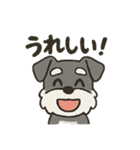 渋かわシュナウザー爺さん！今日も絶好調！（個別スタンプ：7）