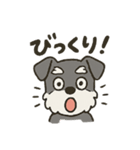 渋かわシュナウザー爺さん！今日も絶好調！（個別スタンプ：8）