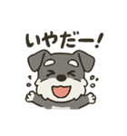 渋かわシュナウザー爺さん！今日も絶好調！（個別スタンプ：9）
