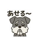 渋かわシュナウザー爺さん！今日も絶好調！（個別スタンプ：10）