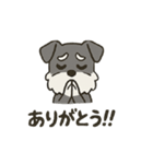 渋かわシュナウザー爺さん！今日も絶好調！（個別スタンプ：14）