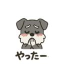 渋かわシュナウザー爺さん！今日も絶好調！（個別スタンプ：15）