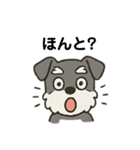渋かわシュナウザー爺さん！今日も絶好調！（個別スタンプ：16）