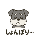 渋かわシュナウザー爺さん！今日も絶好調！（個別スタンプ：17）
