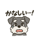渋かわシュナウザー爺さん！今日も絶好調！（個別スタンプ：19）