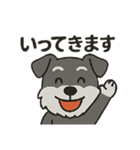 渋かわシュナウザー爺さん！今日も絶好調！（個別スタンプ：24）