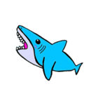 浮き輪ザメスタンプ（個別スタンプ：16）