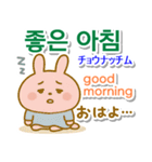 韓国語＋英語＋日本語 ピンクのウサギ（個別スタンプ：1）
