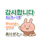 韓国語＋英語＋日本語 ピンクのウサギ（個別スタンプ：2）