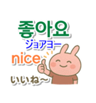 韓国語＋英語＋日本語 ピンクのウサギ（個別スタンプ：4）