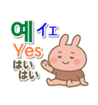 韓国語＋英語＋日本語 ピンクのウサギ（個別スタンプ：9）