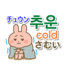 韓国語＋英語＋日本語 ピンクのウサギ（個別スタンプ：12）