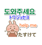 韓国語＋英語＋日本語 ピンクのウサギ（個別スタンプ：19）