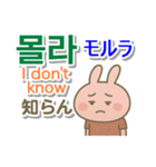 韓国語＋英語＋日本語 ピンクのウサギ（個別スタンプ：37）